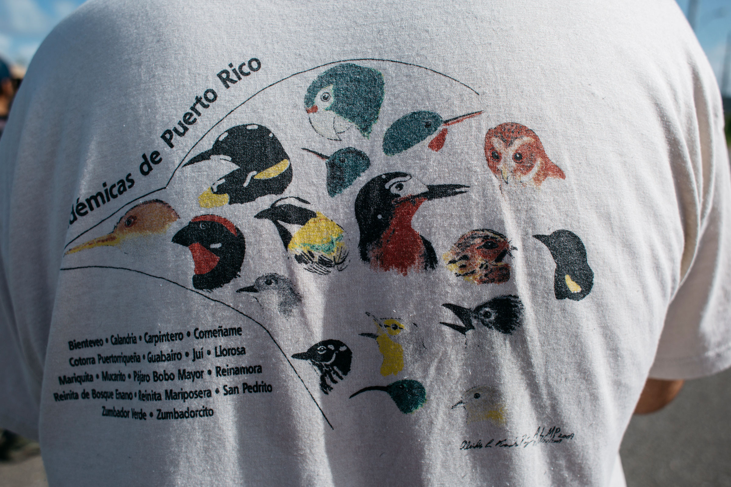 José Salguero's shirt depicts native Puerto Rican birds. With his eyesight waning, the biologist depends on calls, and the descriptions his wife provides him with, to identify birds. Erika P. Rodriguez