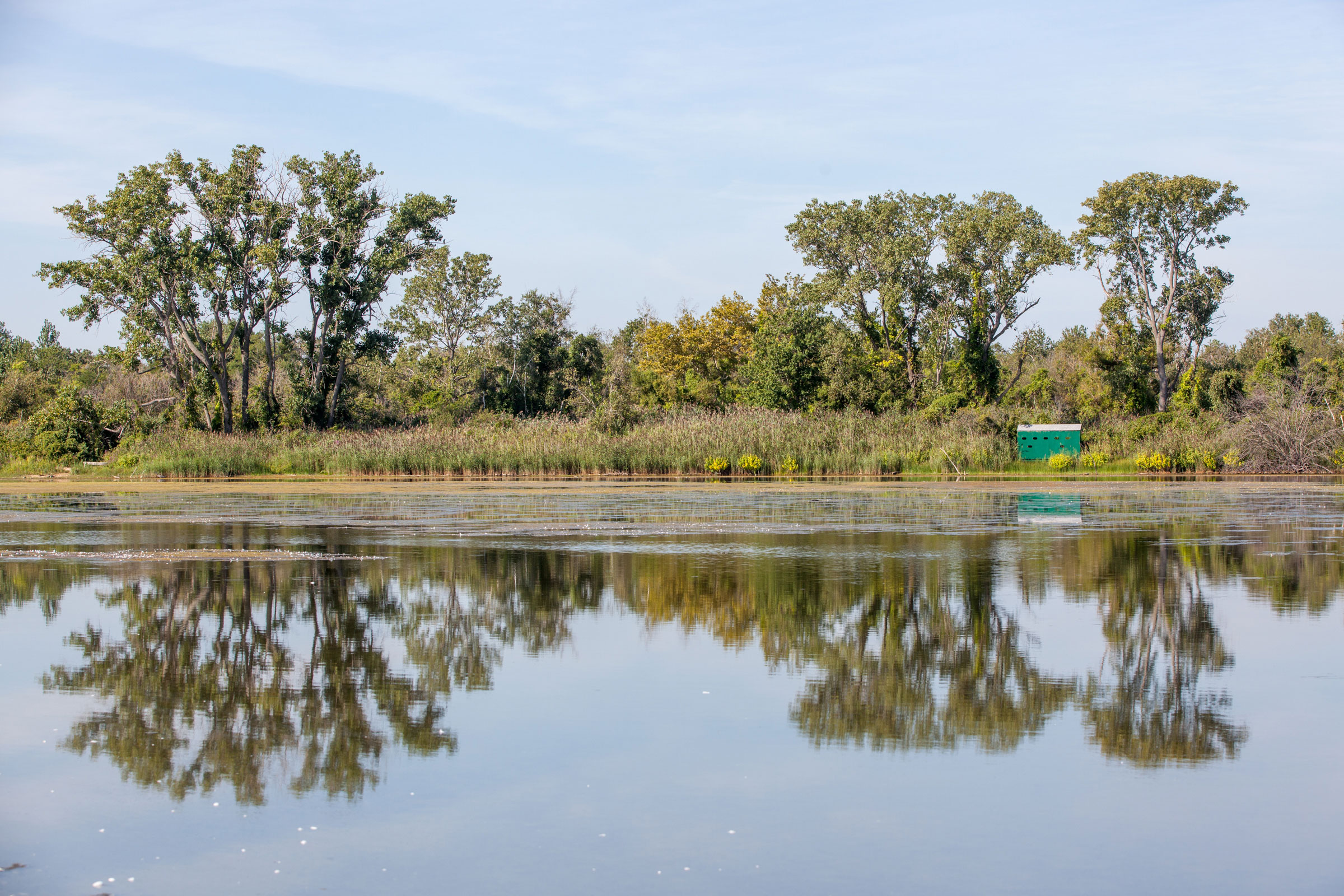 The East Pond at Jamaica Bay Wildlife Refuge in New York City. Camilla Cerea/Audubon
