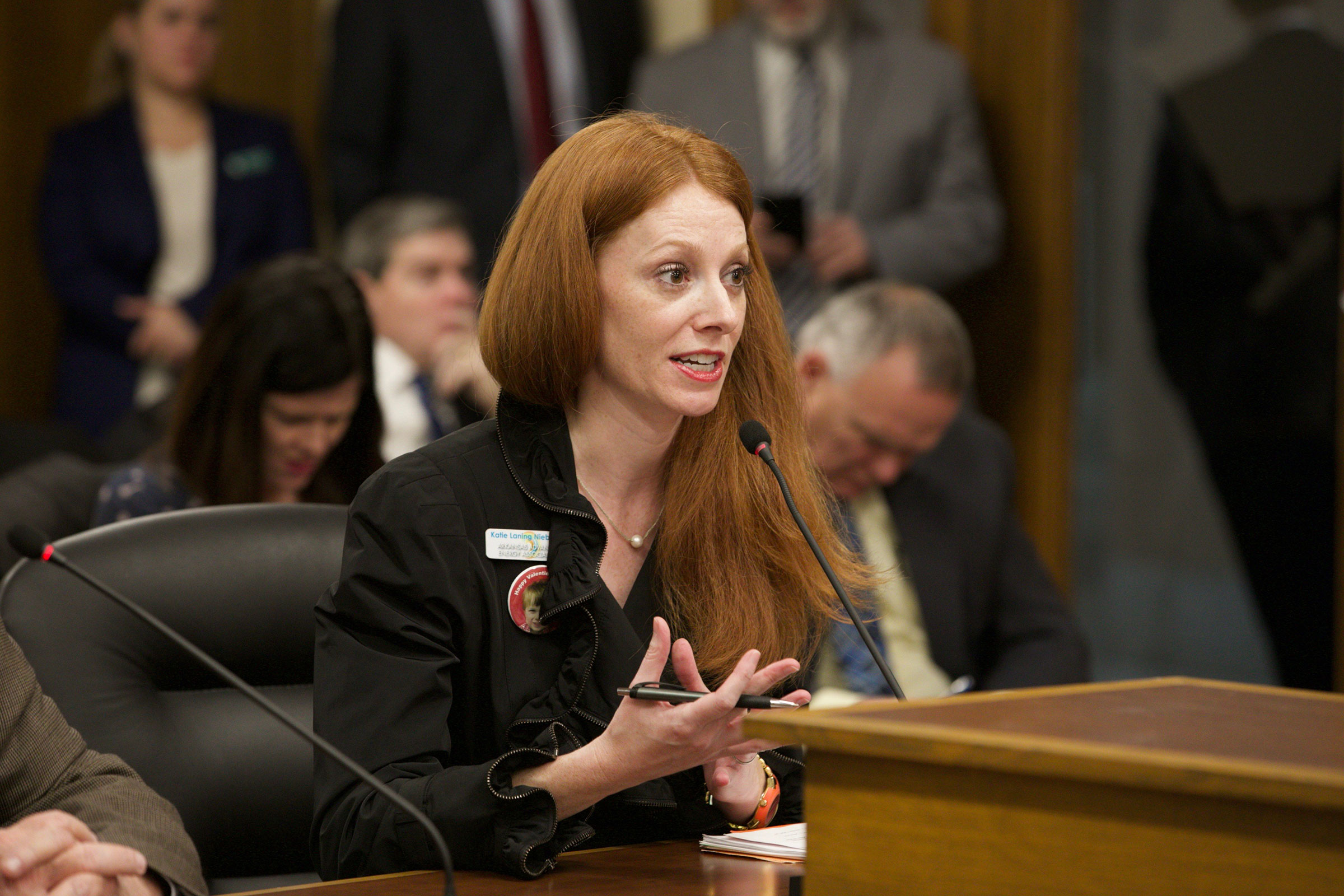 Katie Niebaum, director of Arkansas Advanced Energy Association. Lauren McCullough