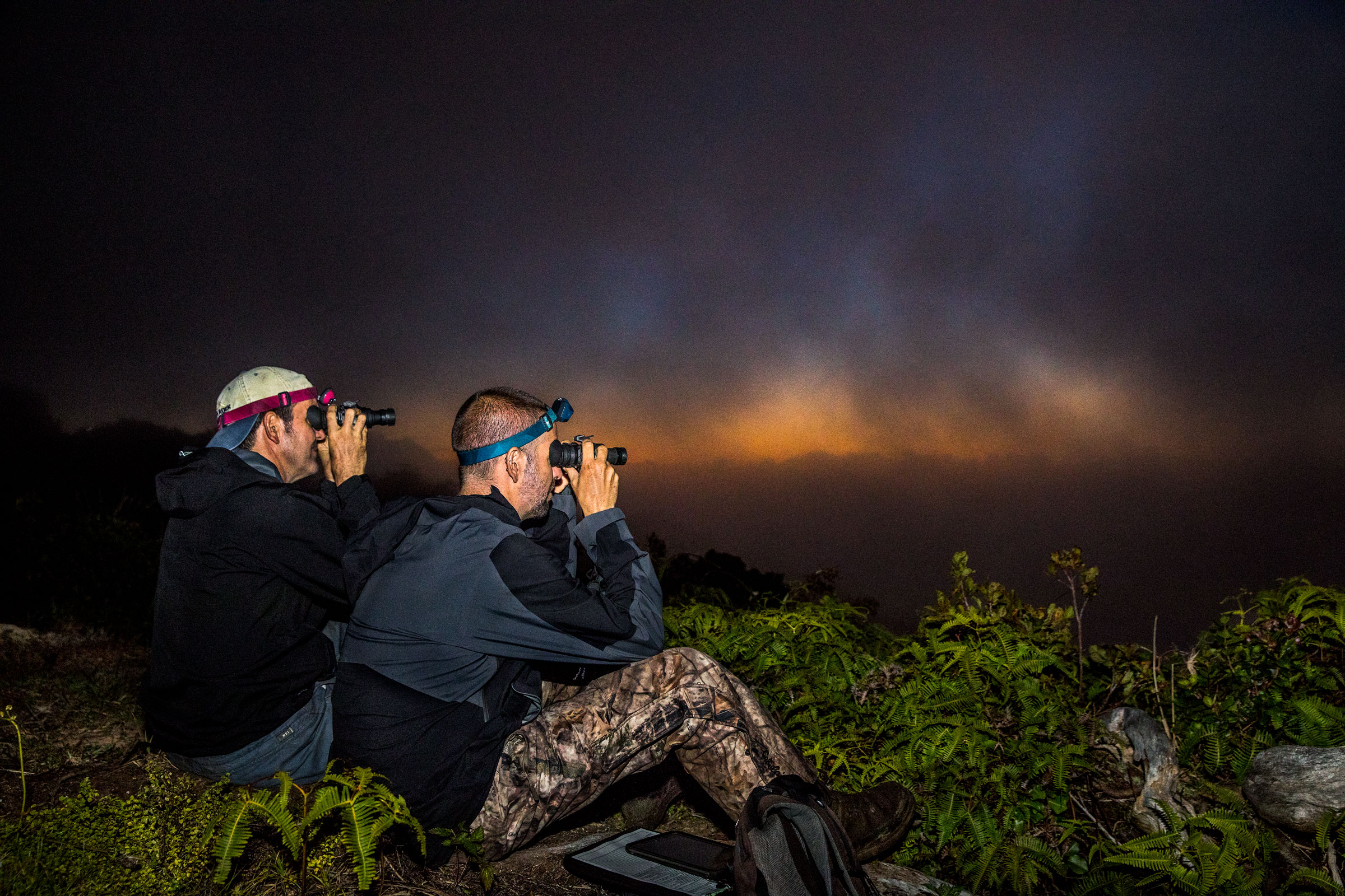 Raine and writer Paul Kvinta use night-vision goggles to search the twilight for Hawaiian Petrels coming in to feed their nestlings. Tom Fowlks