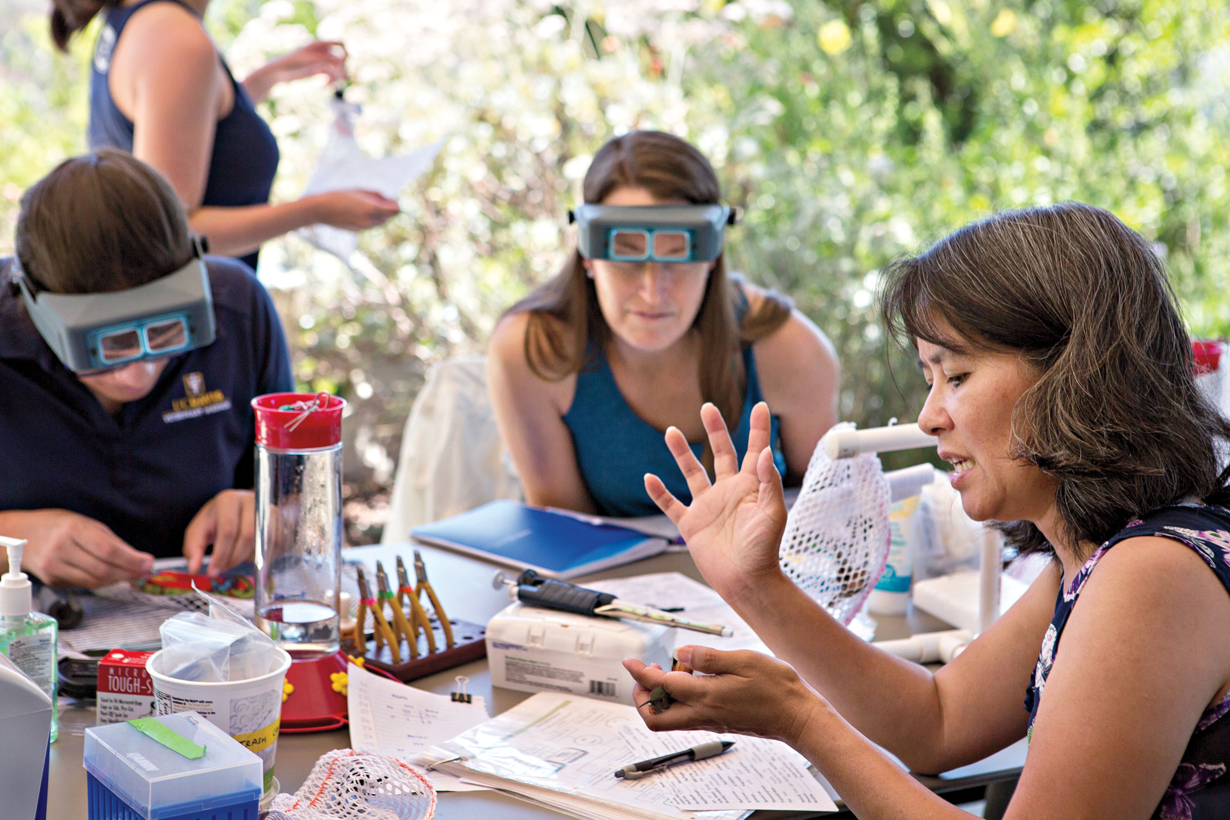 Lisa Tell and her team at University of California, Davis use smart feeders to understand urban foraging habits. Courtesy of Jennifer May/Orange Fizz Photography