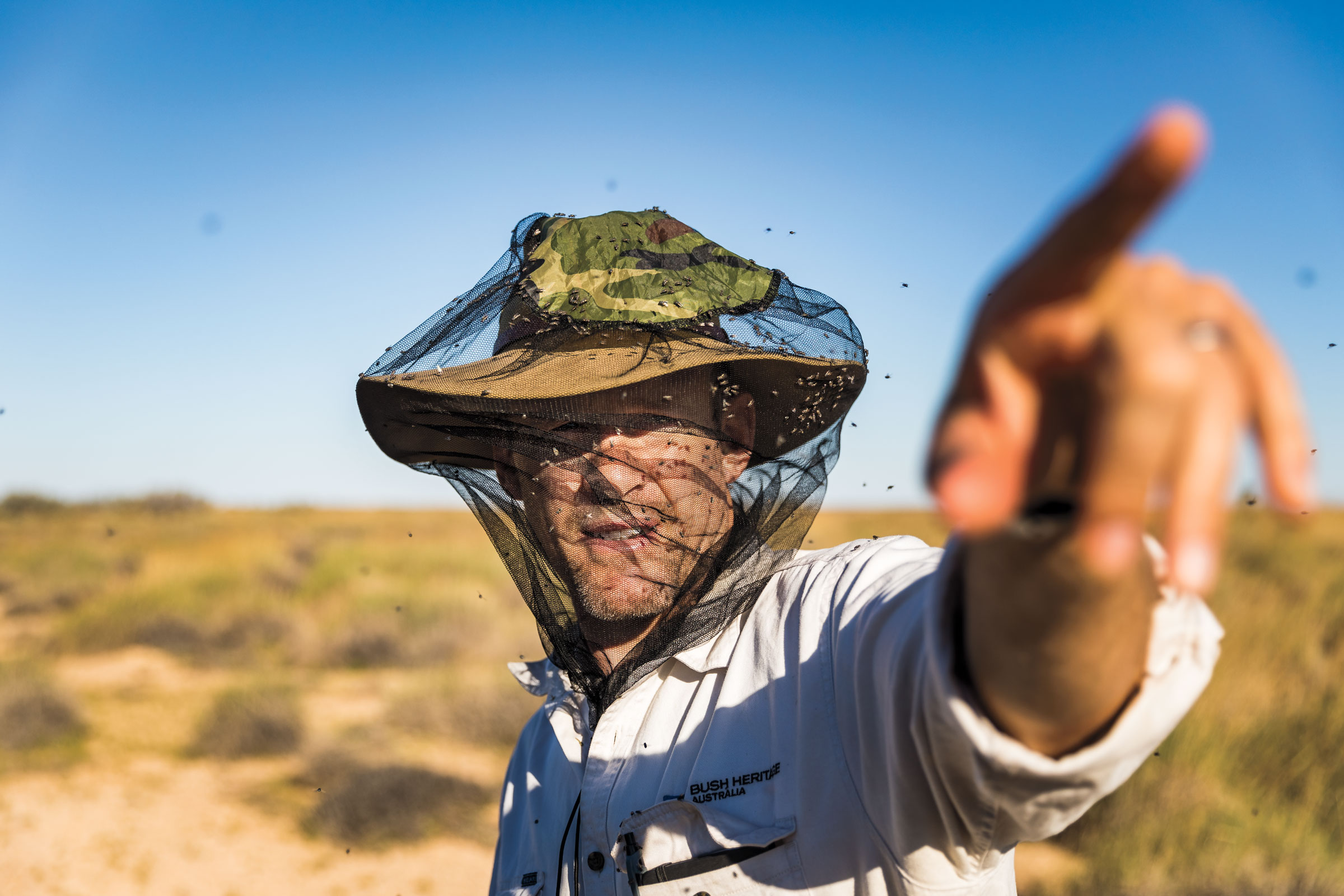 Leseberg is investigating where Night Parrots are likely to be found and how conditions such as rainfall affect breeding. Lachlan Gardiner