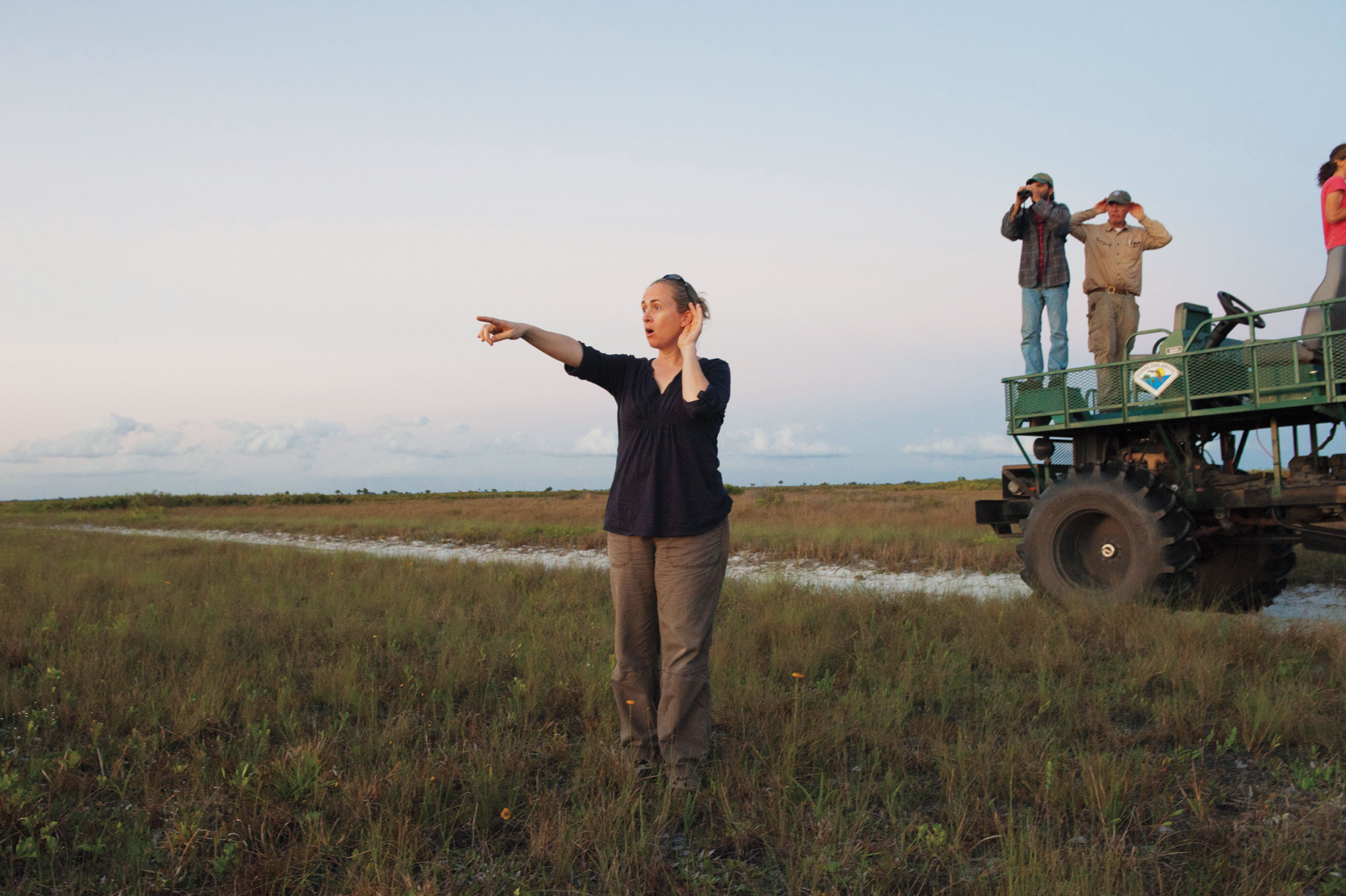 At Florida's Kissimmee Prairie Preserve State Park, Sue Miller attempts to locate a Florida Grasshopper Sparrow by listening for its song. This hard-to-find bird is located primarily via its song. Joel Sartore