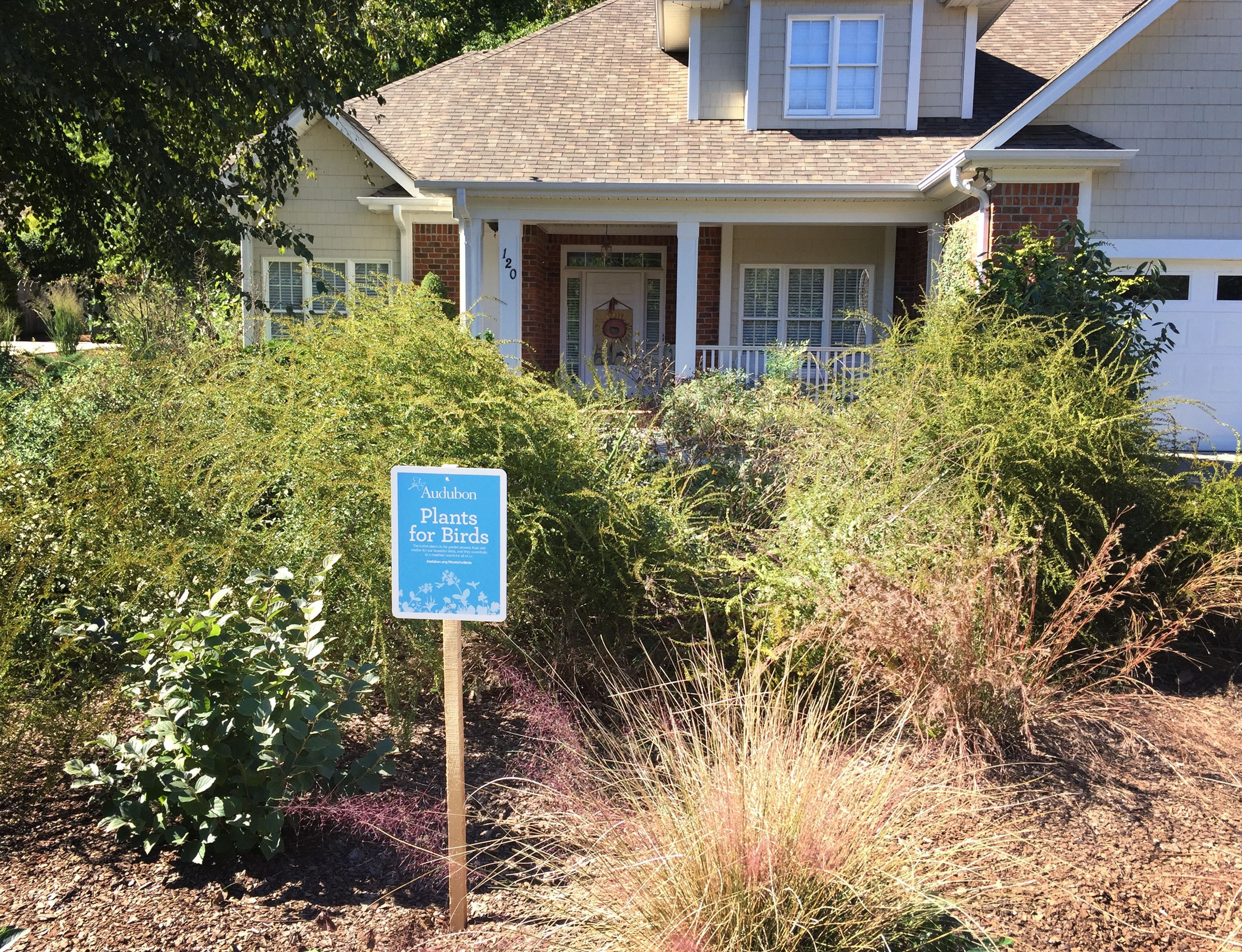 Audubon Plants for Birds yard sign. Kim Brand