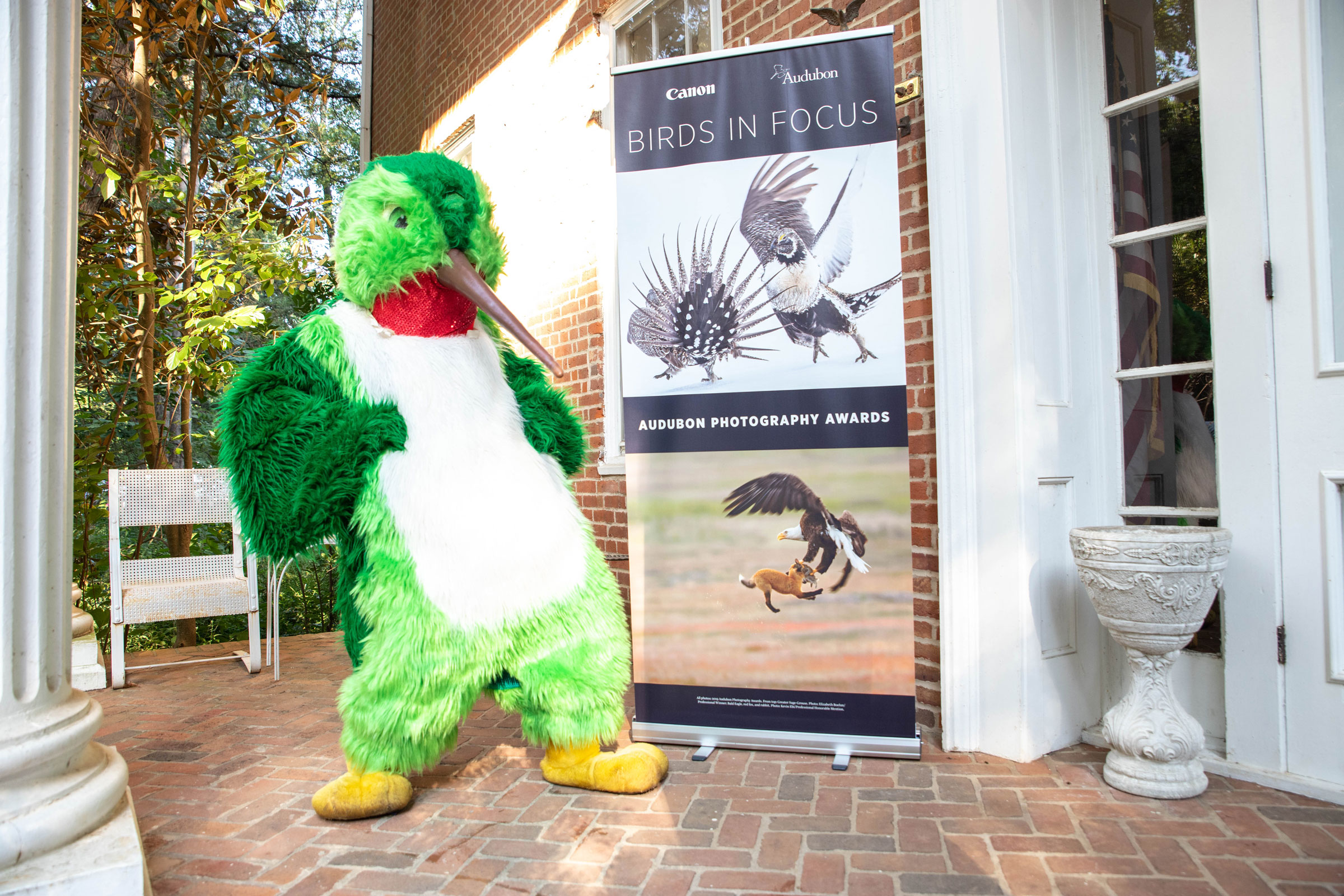"Harry" the Hummingbird poses in front of the "Birds in Focus" poster. Dominic Arenas/Audubon
