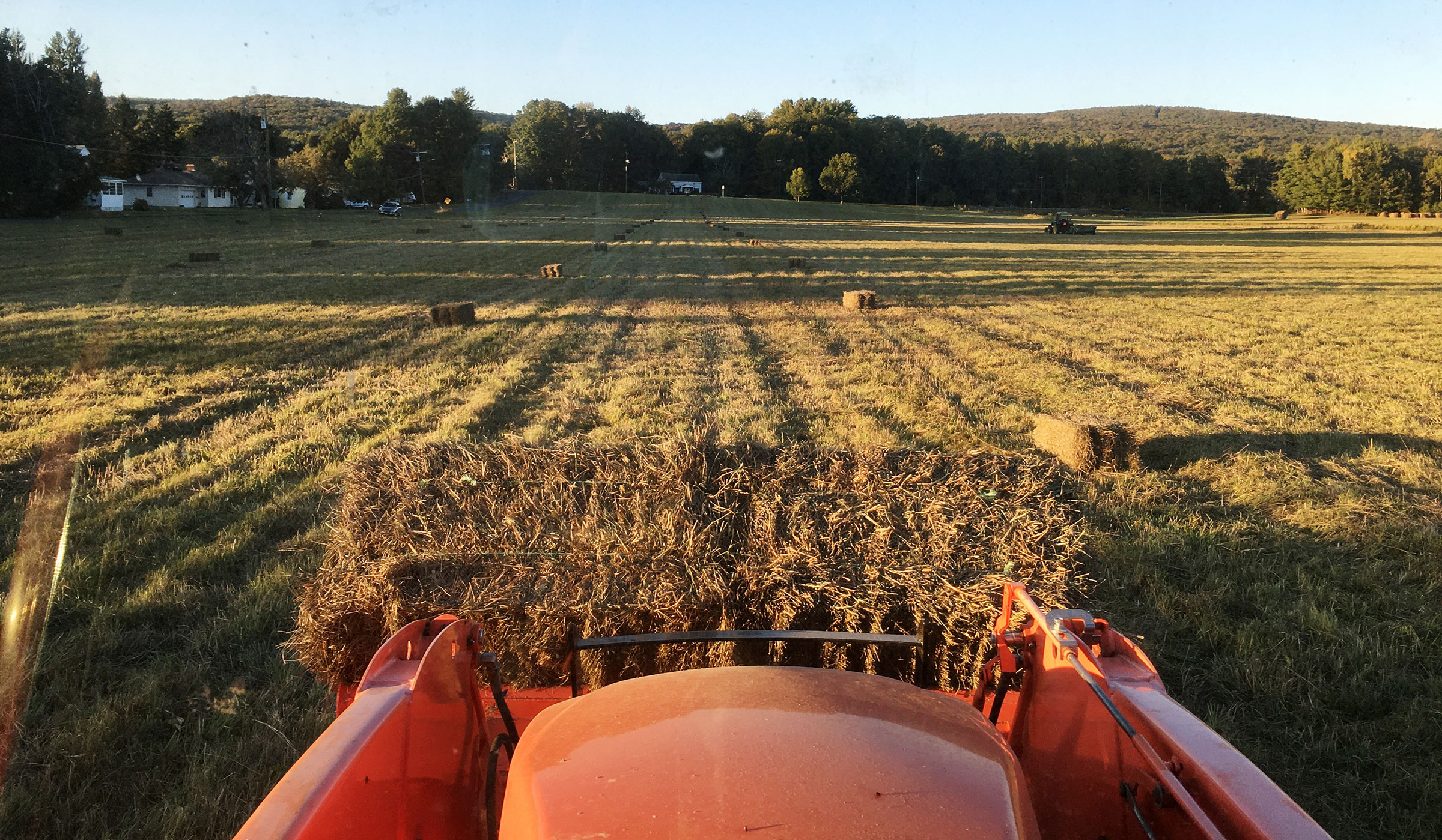 A tractor loads hay in September 2020 at Musante Farm, on a field cut later in the season to allow birds to fledge. A tractor loads hay in September 2020 at Musante Farm, on a field cut later in the season to allow birds to fledge.