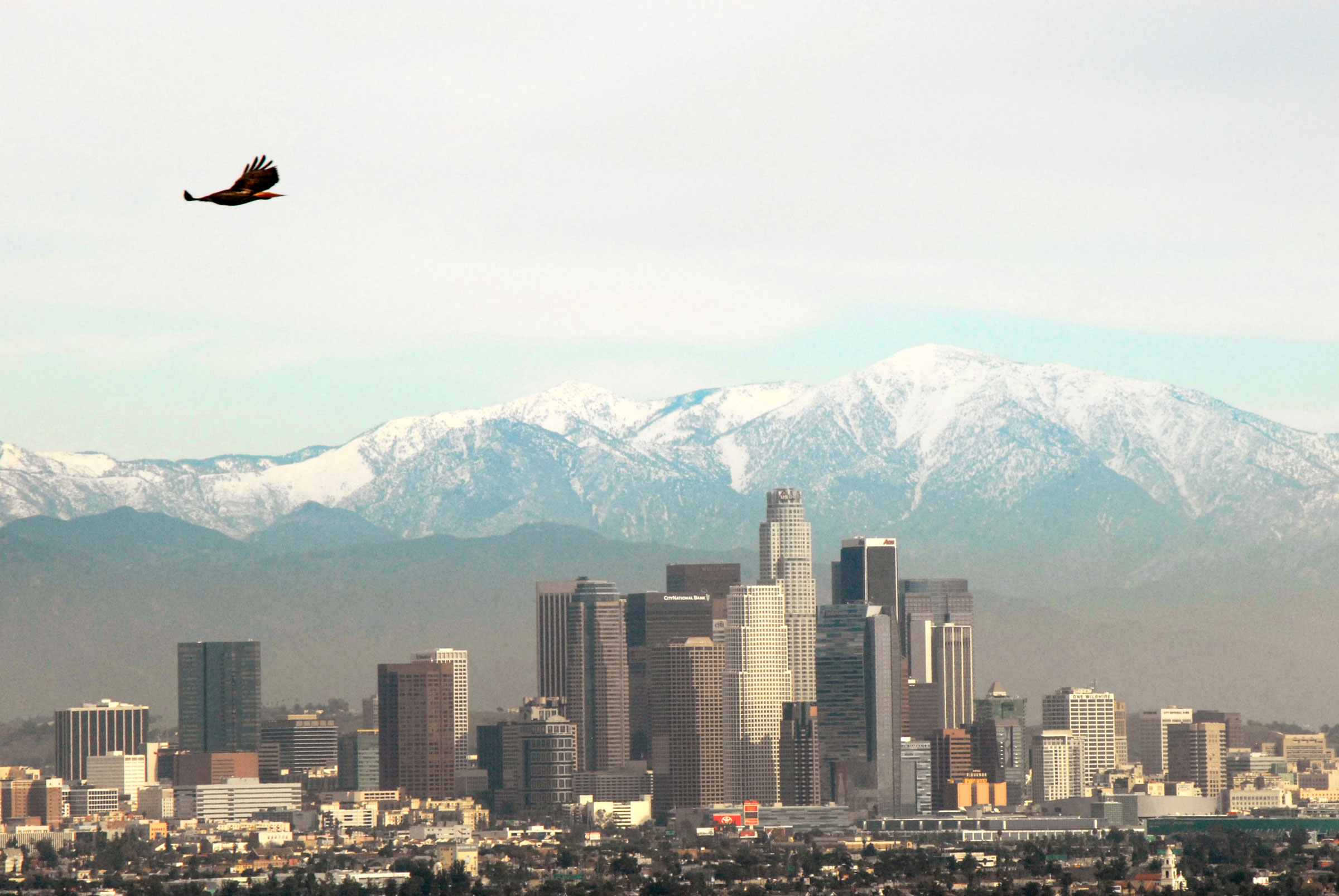 In the 1950s and 1960s, people in Los Angeles breathed some of the dirtiest air in the world. Today, thanks to the Clean Air Act, it's much cleaner—although there's still more work to do. Ramon Preciado/Alamy