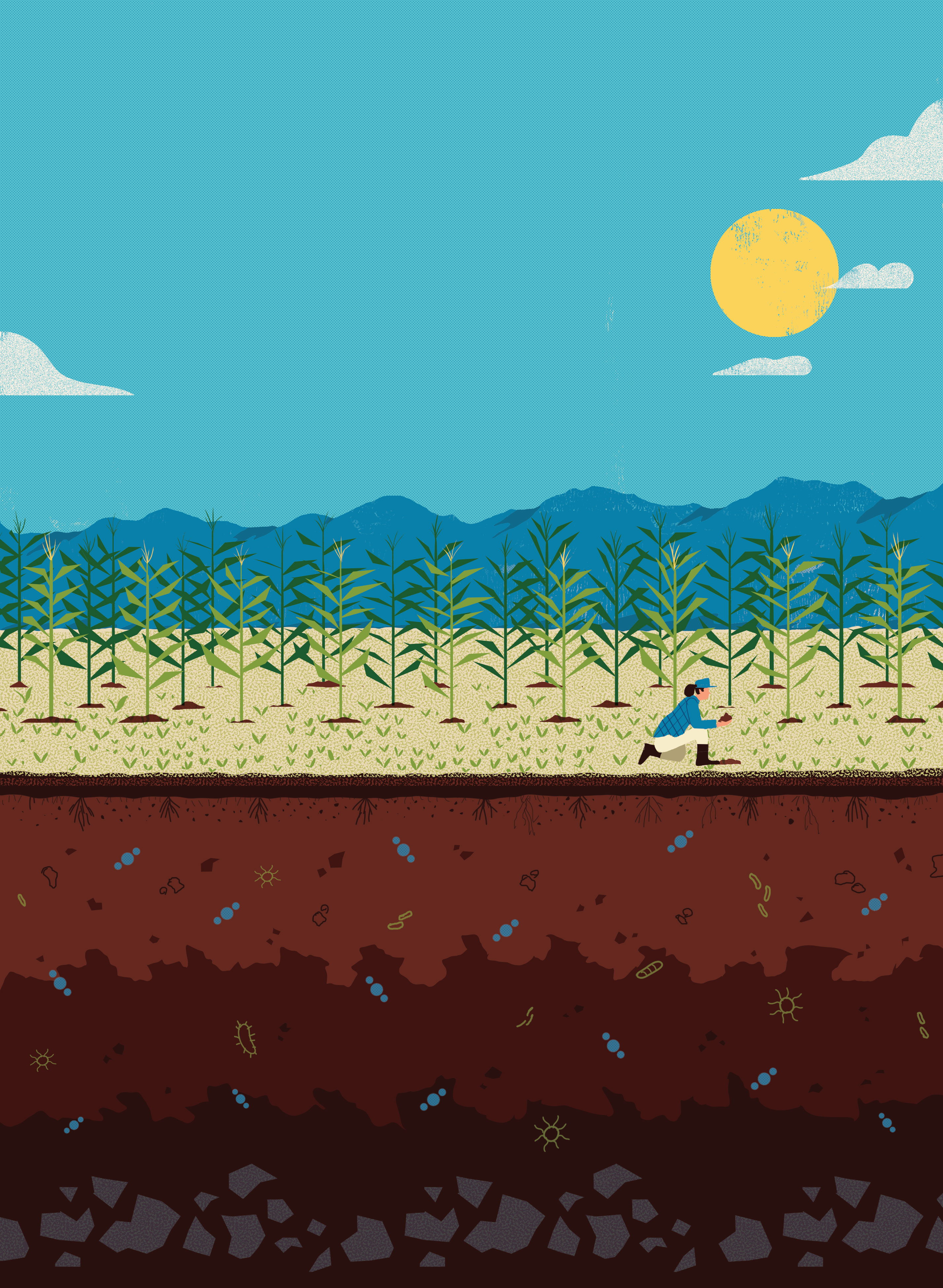 Illustration: Mike Ellis