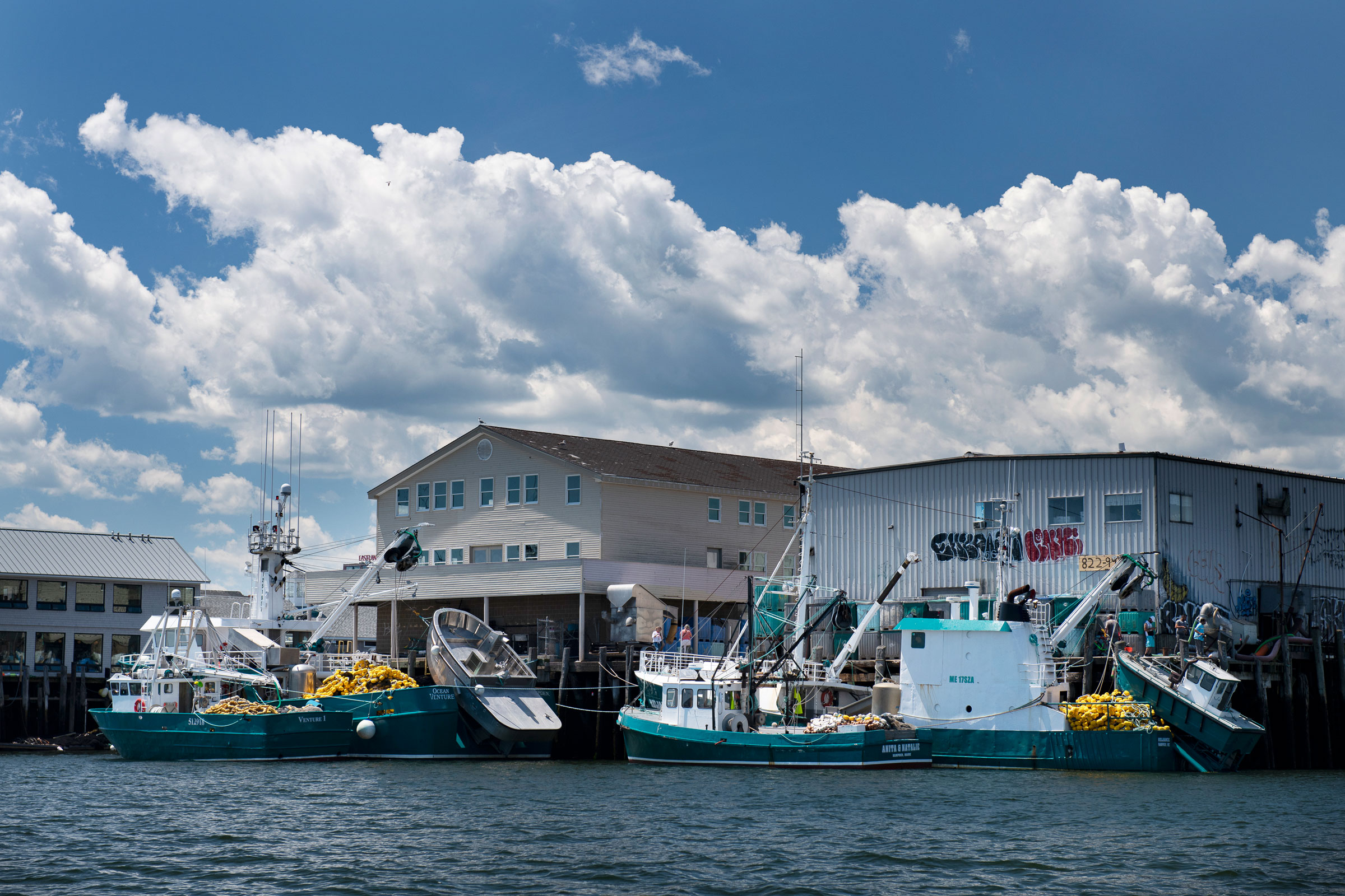 Purse seiner boats, used to catch herring, dock in Portland, Maine. Chris Linder