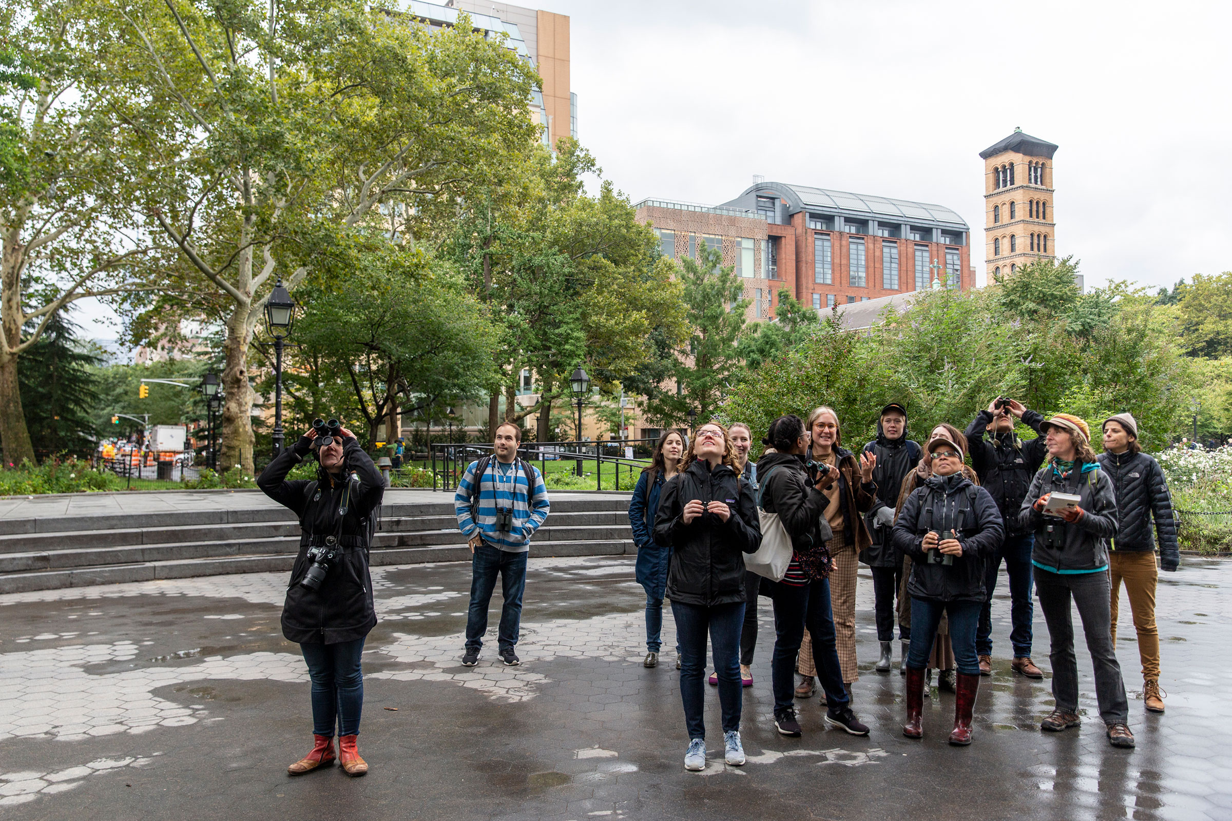 On an October walk in New York City's Washington Square Park, the group recorded the site's first-ever Belted Kingfisher sighting, along with six Brown Creepers and four woodpecker species. Eva Deitch
