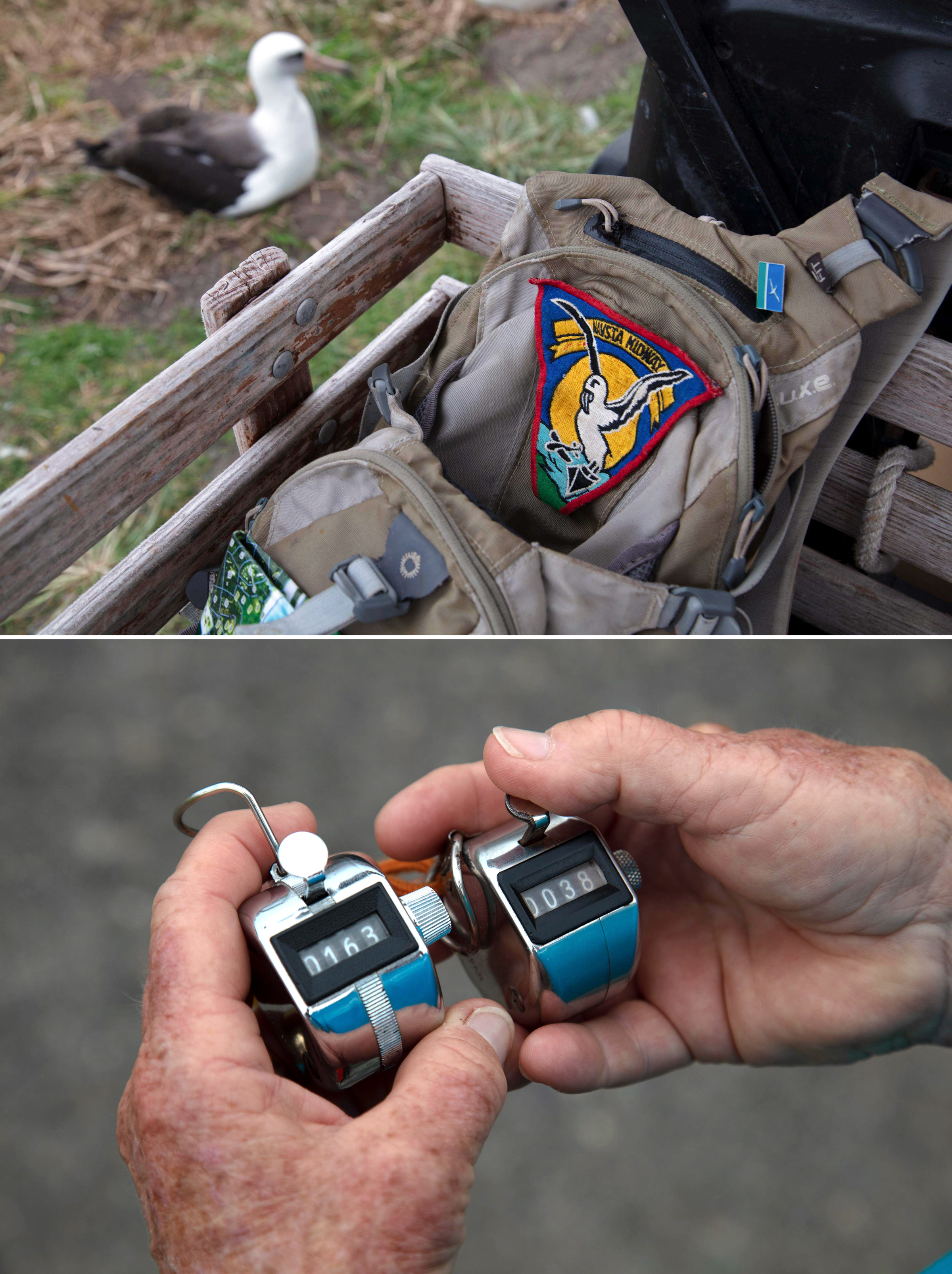 Jenny Johnson’s backpack, top, sports a patch she obtained as a child on Midway. She uses two clickers, bottom, to keep track of the two albatross species. Photos: Jon Brack/USFWS