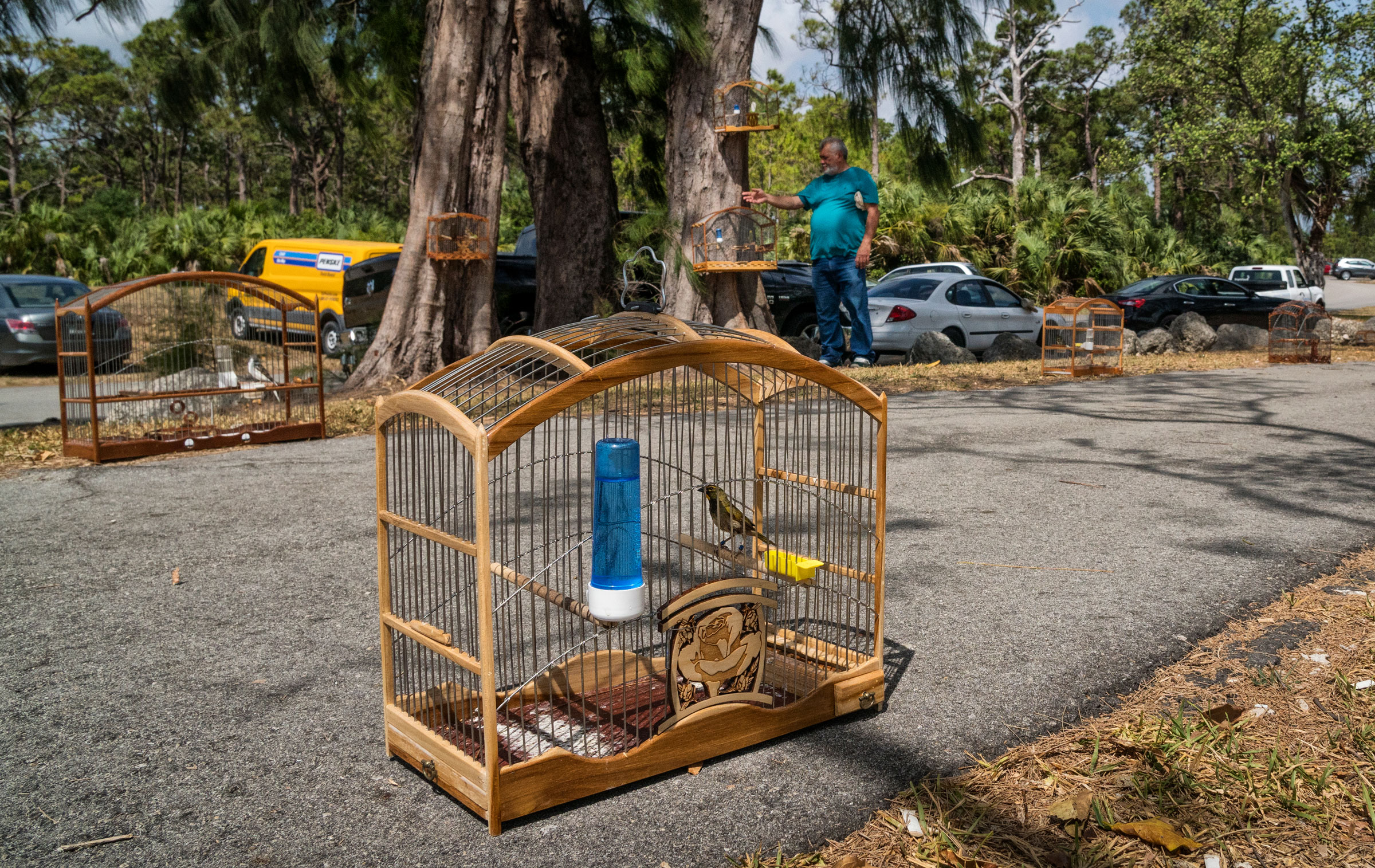Traders gather along a road in a public park near Miami to display and sell birds. Karine Aigner