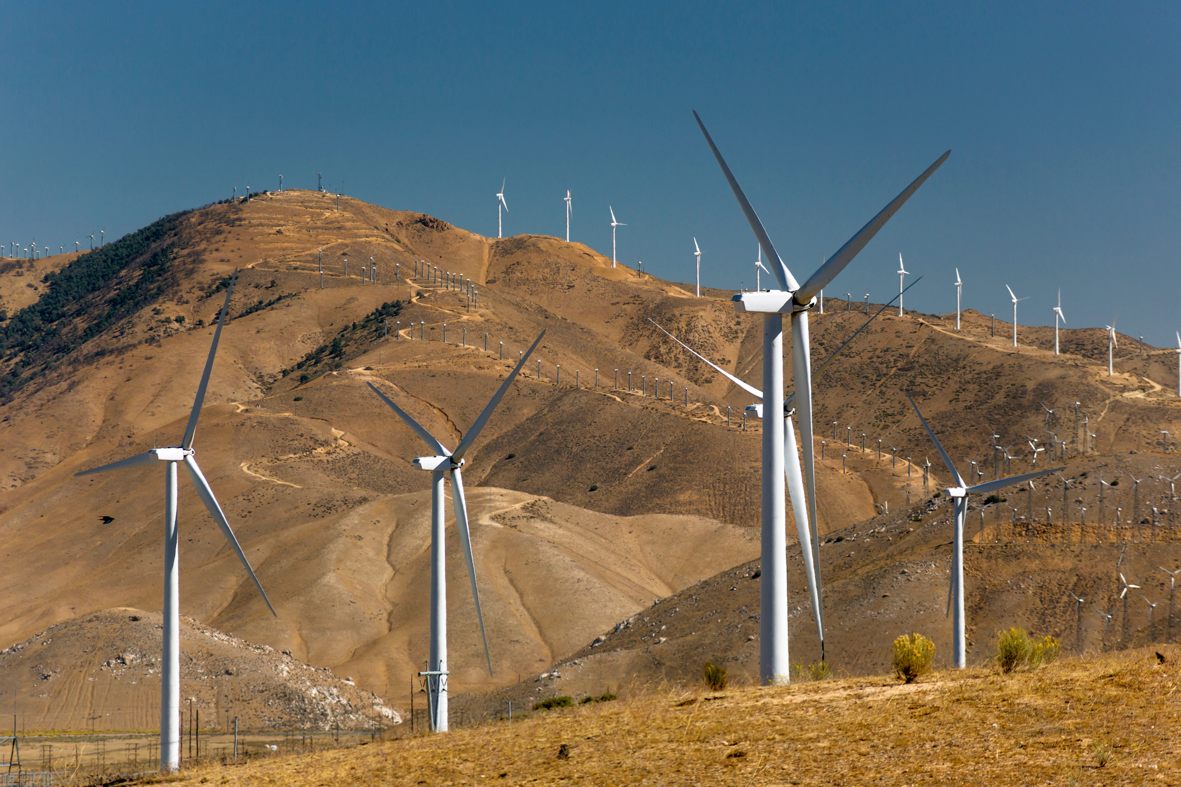 Three wind turbines stand tall in the foreground before rows of more turbines lining the Tehachapi Mountains. Russell Kord/Alamy