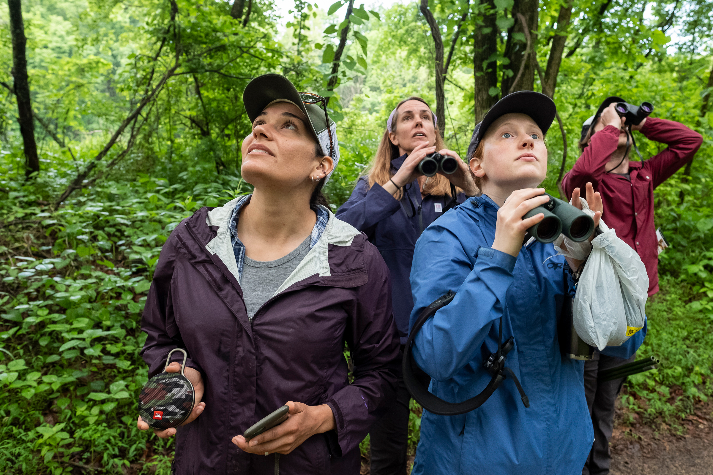 In a lush, green forest, four researchers look skyward with binoculars in hand.