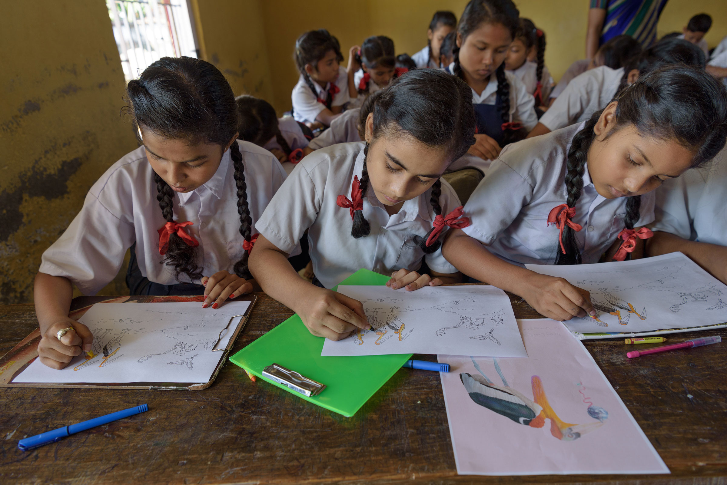 Students at Dadara High School make drawings of Greater Adjutant Storks as part of the awareness campaign led by Purnima Barman. Photo: Smita Sharma