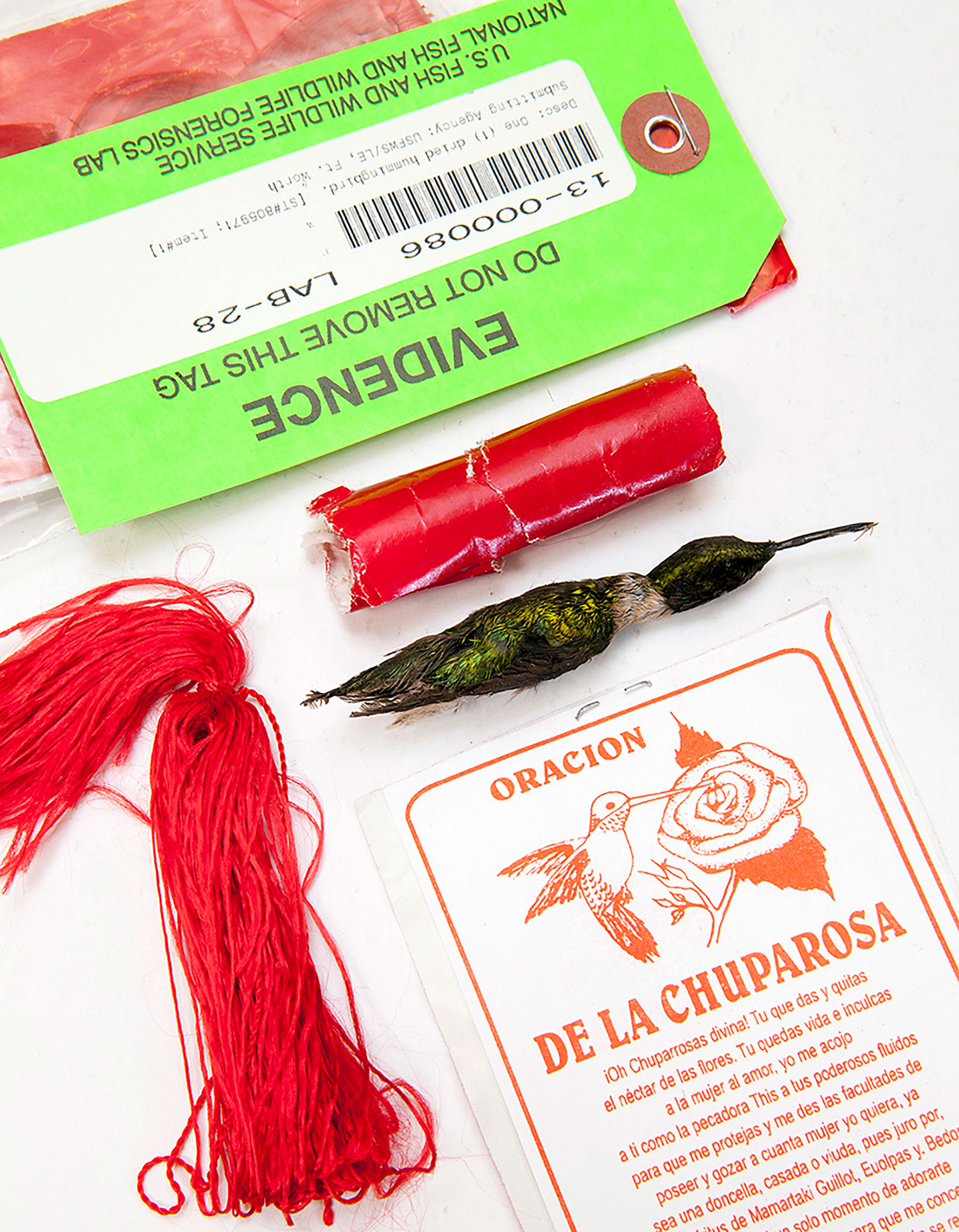 This chuparosa, seized in a sting operation, was packaged with the Prayer of the Hummingbird, a plea to bring the recipient love. Tom Fowlks