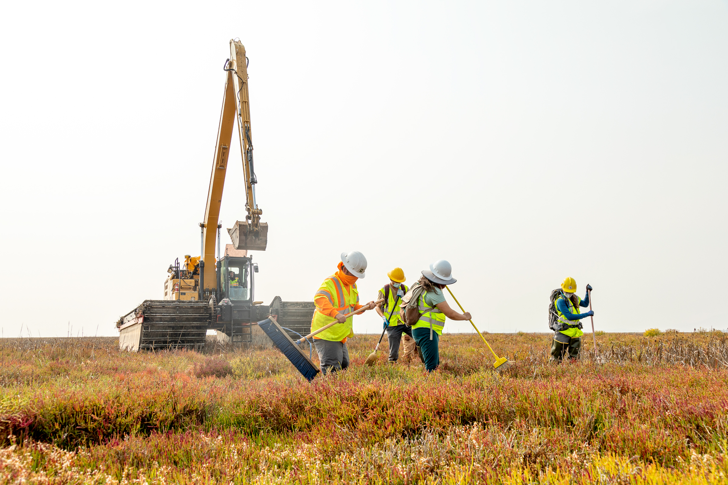 Workers sweep for wildlife while the machinery is moved through the marsh. Luciane Coletti