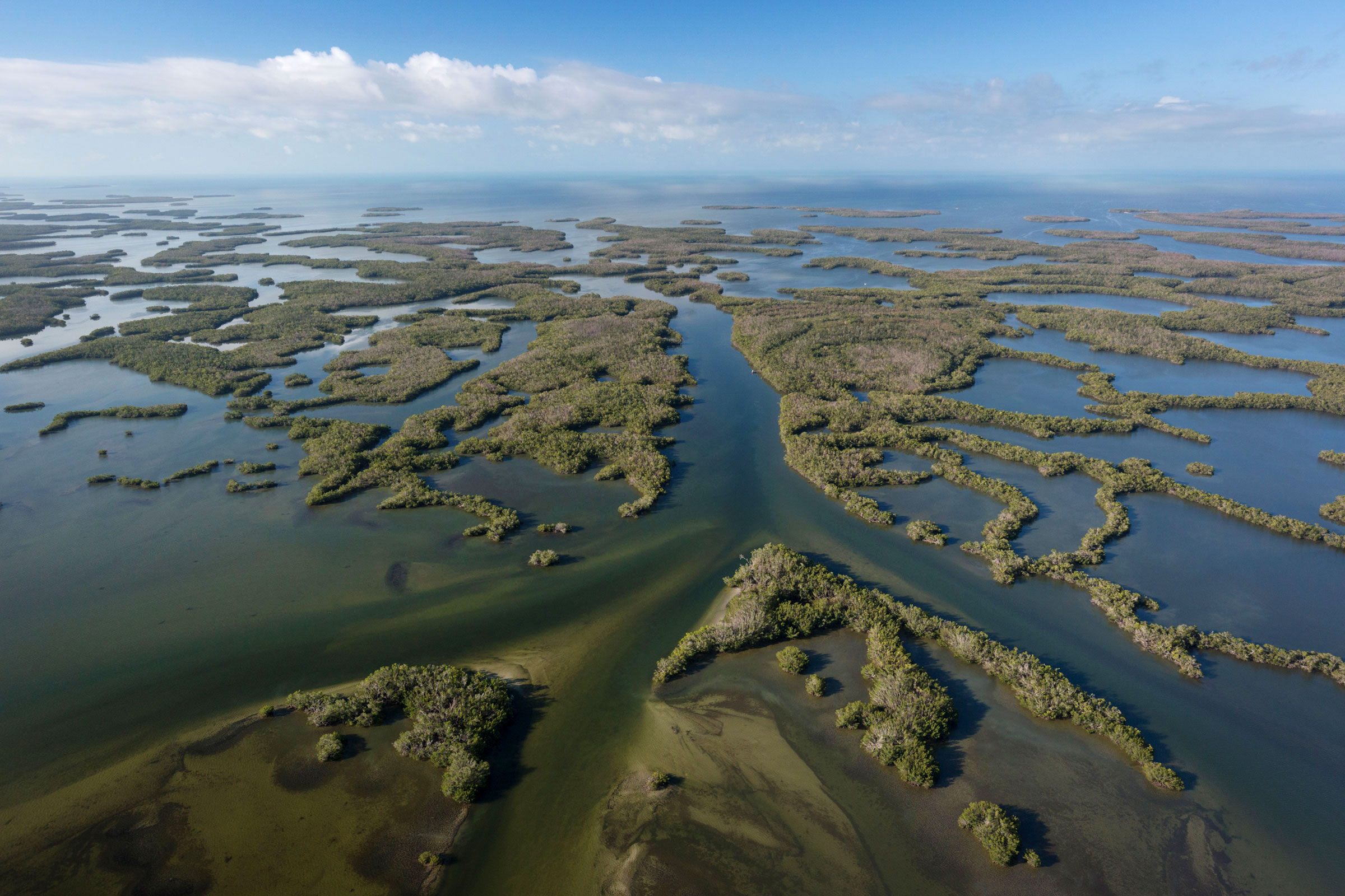 A patchwork of islands forms a maze of water in the Ten Thousand Islands, part of Everglades National Park along the Gulf of Mexico. Mac Stone