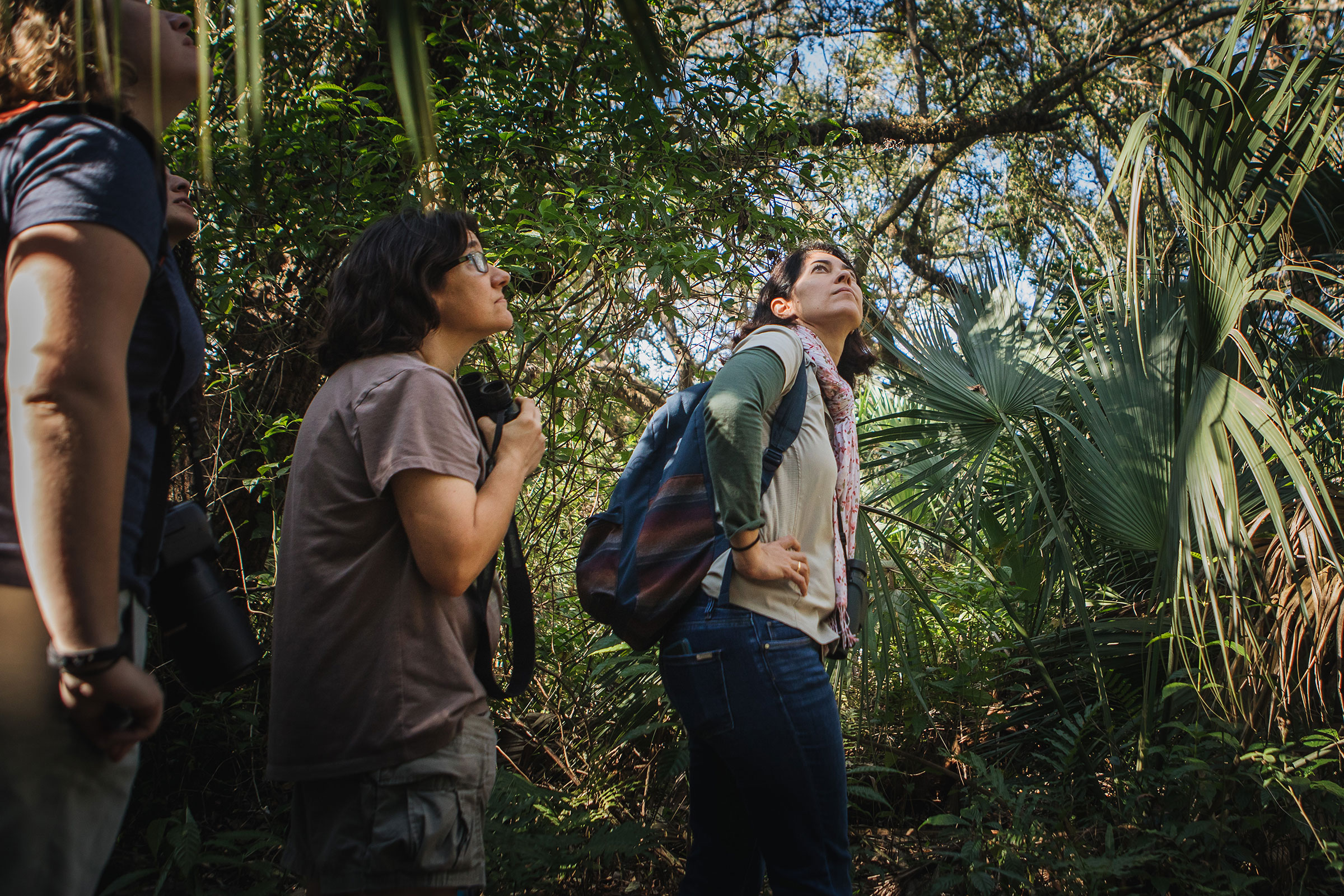 The Phoebes consider themselves serious birders who are interested in science and conservation, but they also make sure to keep their walks light and friendly. Here they explore Florida's Kendall Indian Hammocks Park. Jayme Gershen