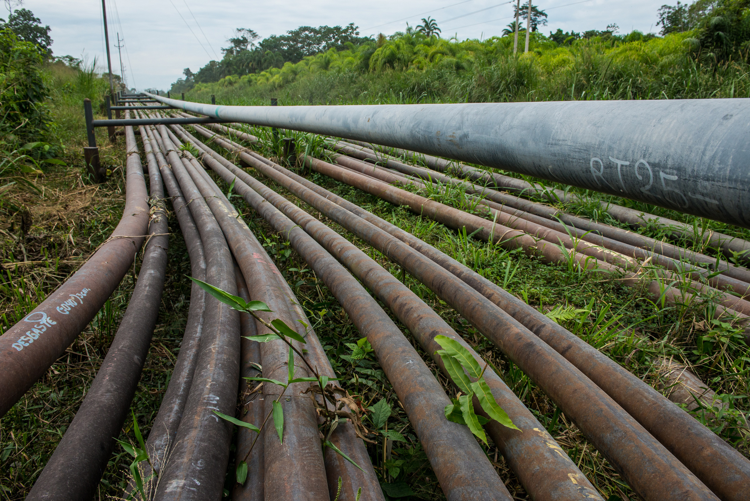 Pipelines originating from a Rio Napo oil company installation near Sacha Norte Uno en route from Coca to Pompeya, north of Yasuni National Park. Neil Ever Osborne