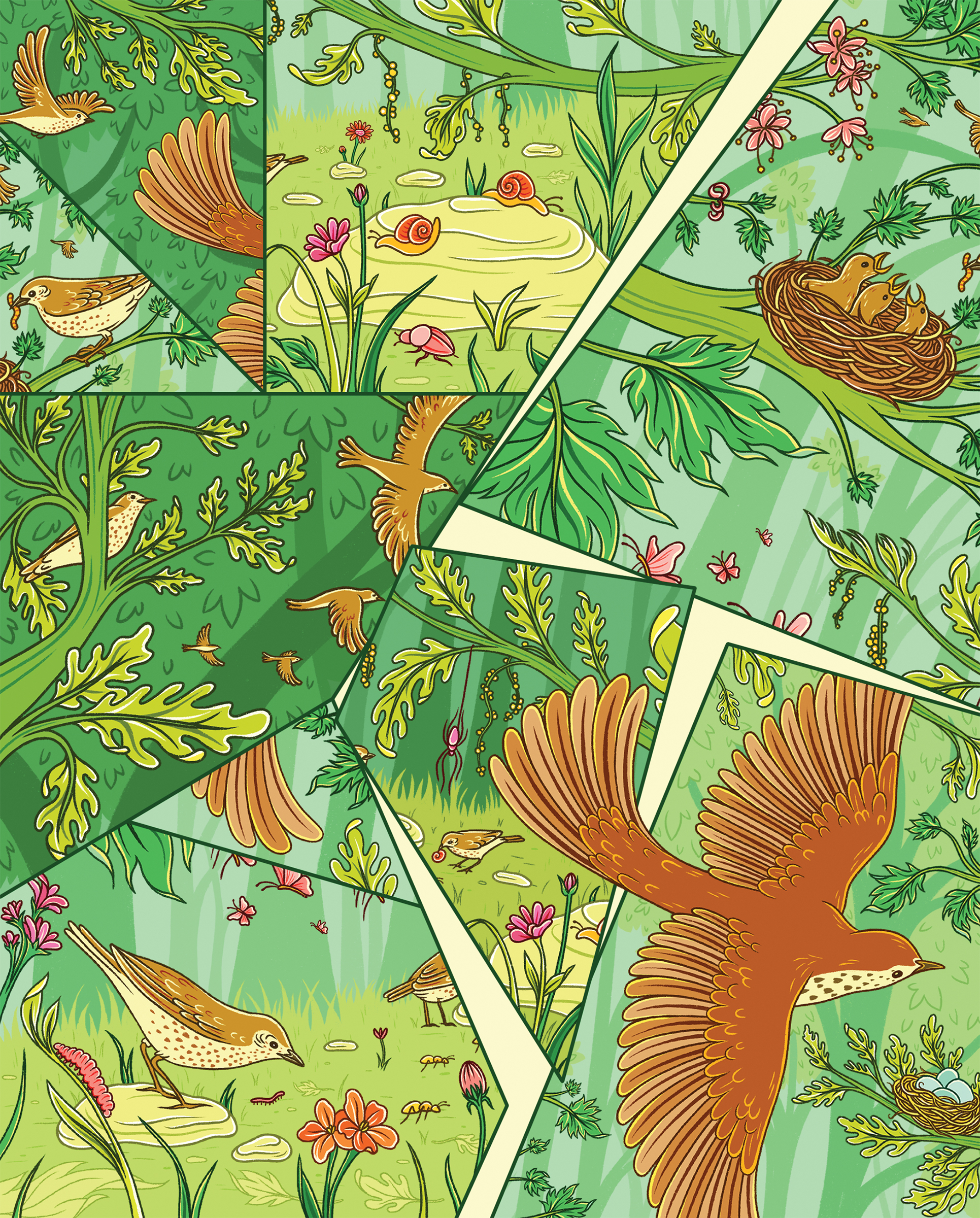 A colorful illustration shows scenes of Wood Thrushes searching for food for their chicks—but the image is fractured, as if shattered glass. It represents the birds' struggle to find enough food as their expected conditions have been shattered by climate change.
