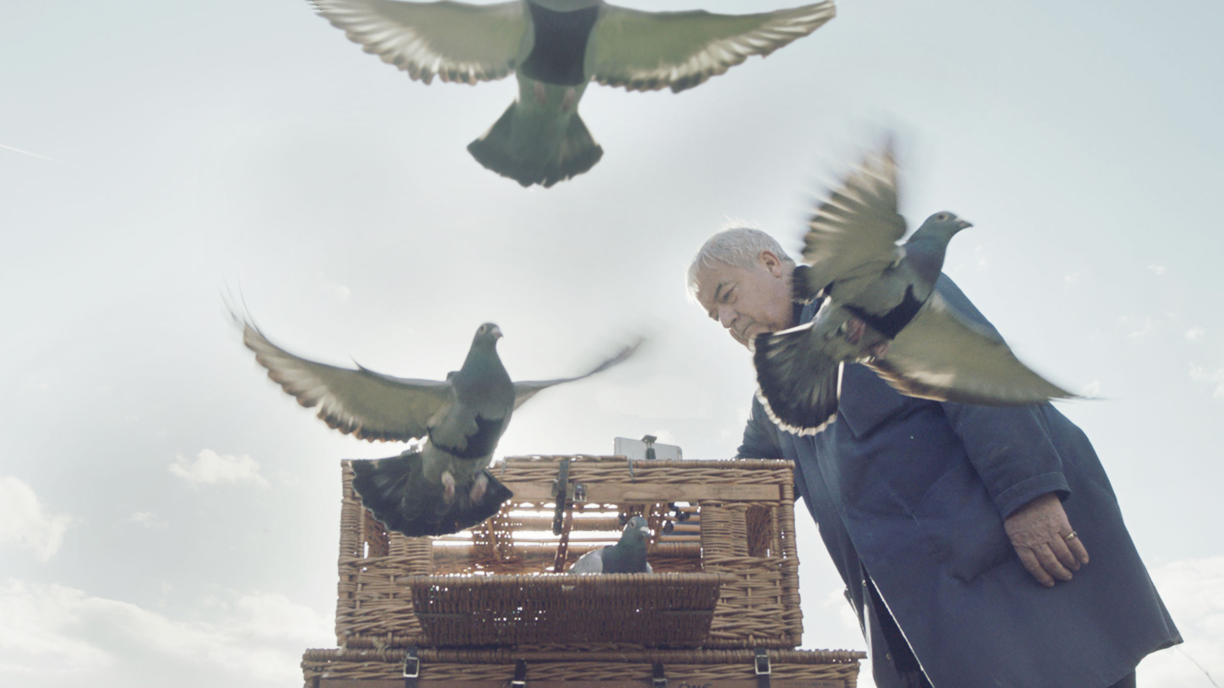 The pigeons take flight, outfitted with ultralight backpacks to monitor air quality. DigitasLBi