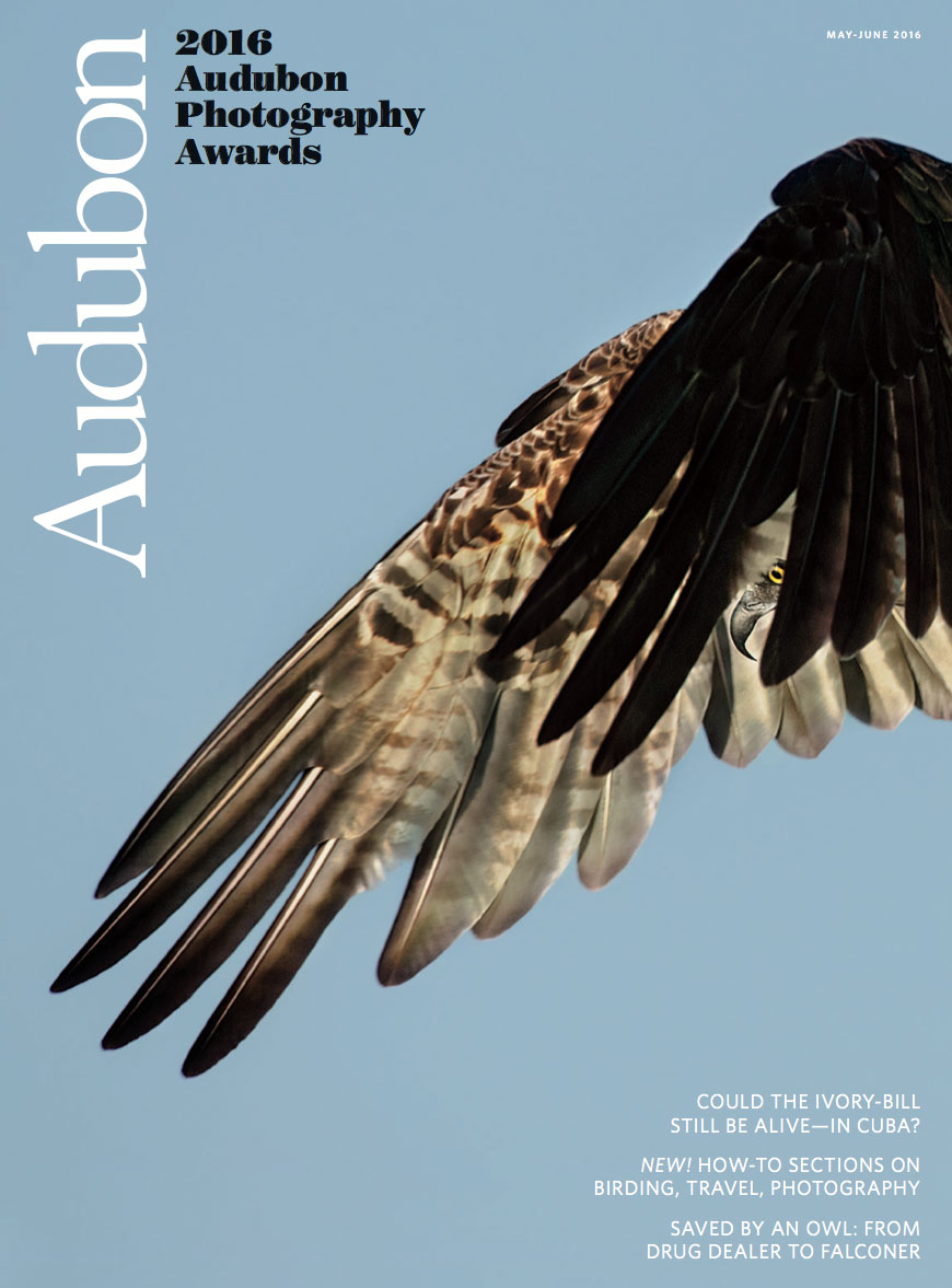 Why Audubon Magazine Is Getting Rid of Its Ads Audubon