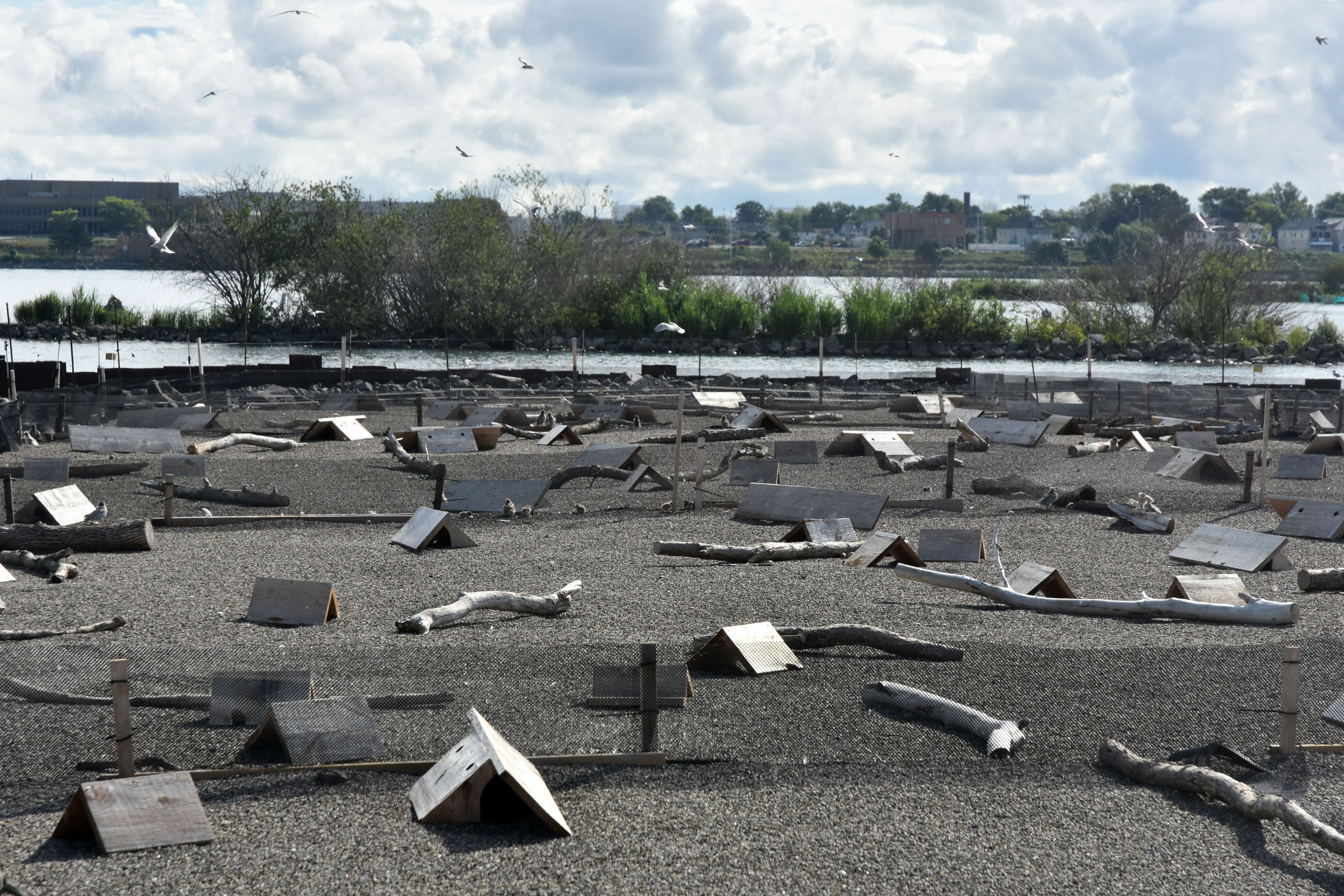 Image of rocky island with tent-like wooden structures scattered across it.