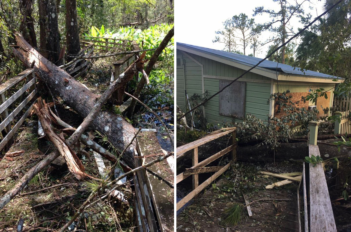 On the left: Some cypress trees came down, damaging railings. On the right: The Bunting House doesn't have electricity anywhere at the moment and just the rails are damaged. Photos: Courtesy of Audubon's Corkscrew Swamp Sanctuary