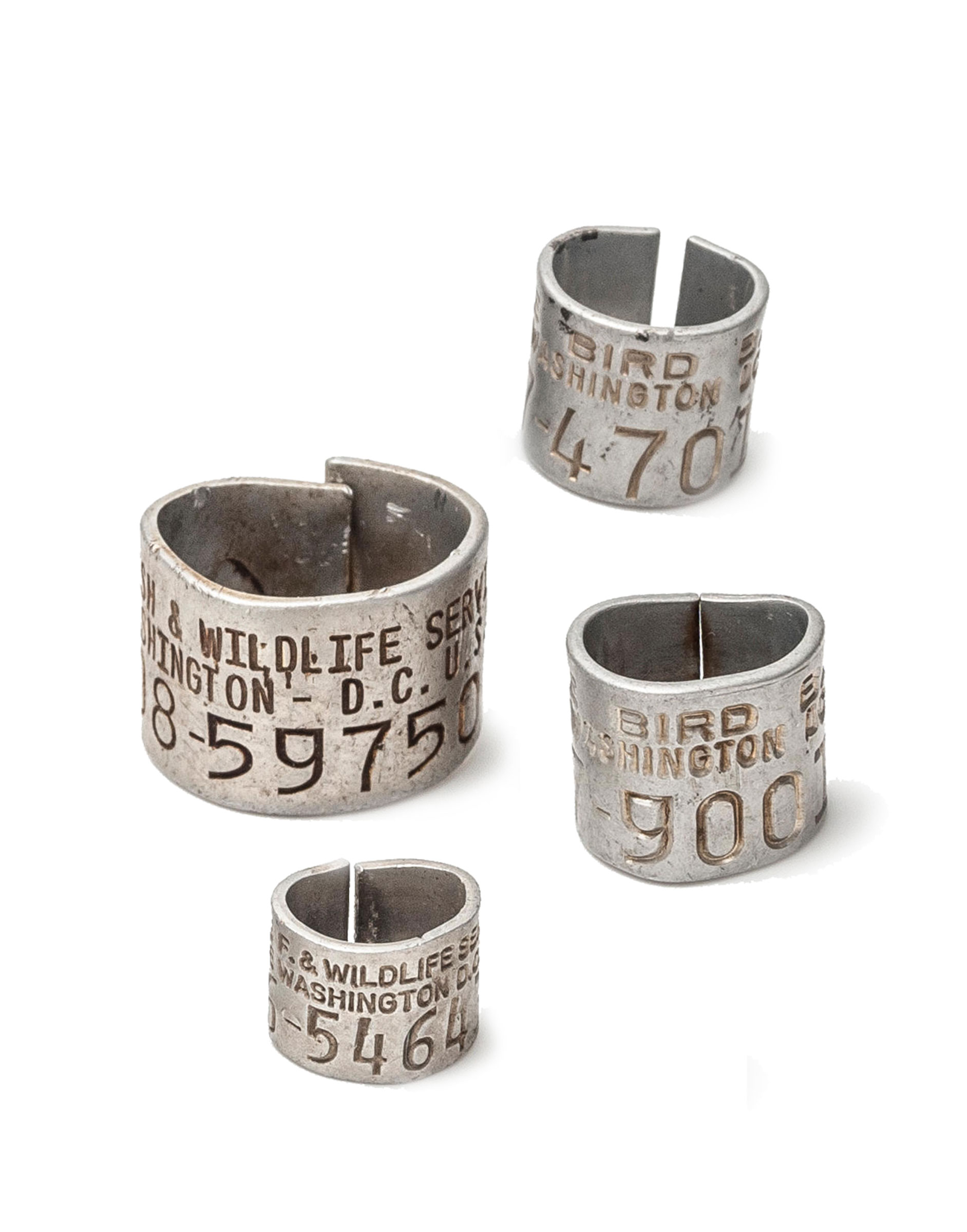 AVISE bird bands. A collection for four metal bands of varying sizes inscribed with numbers and lettering.