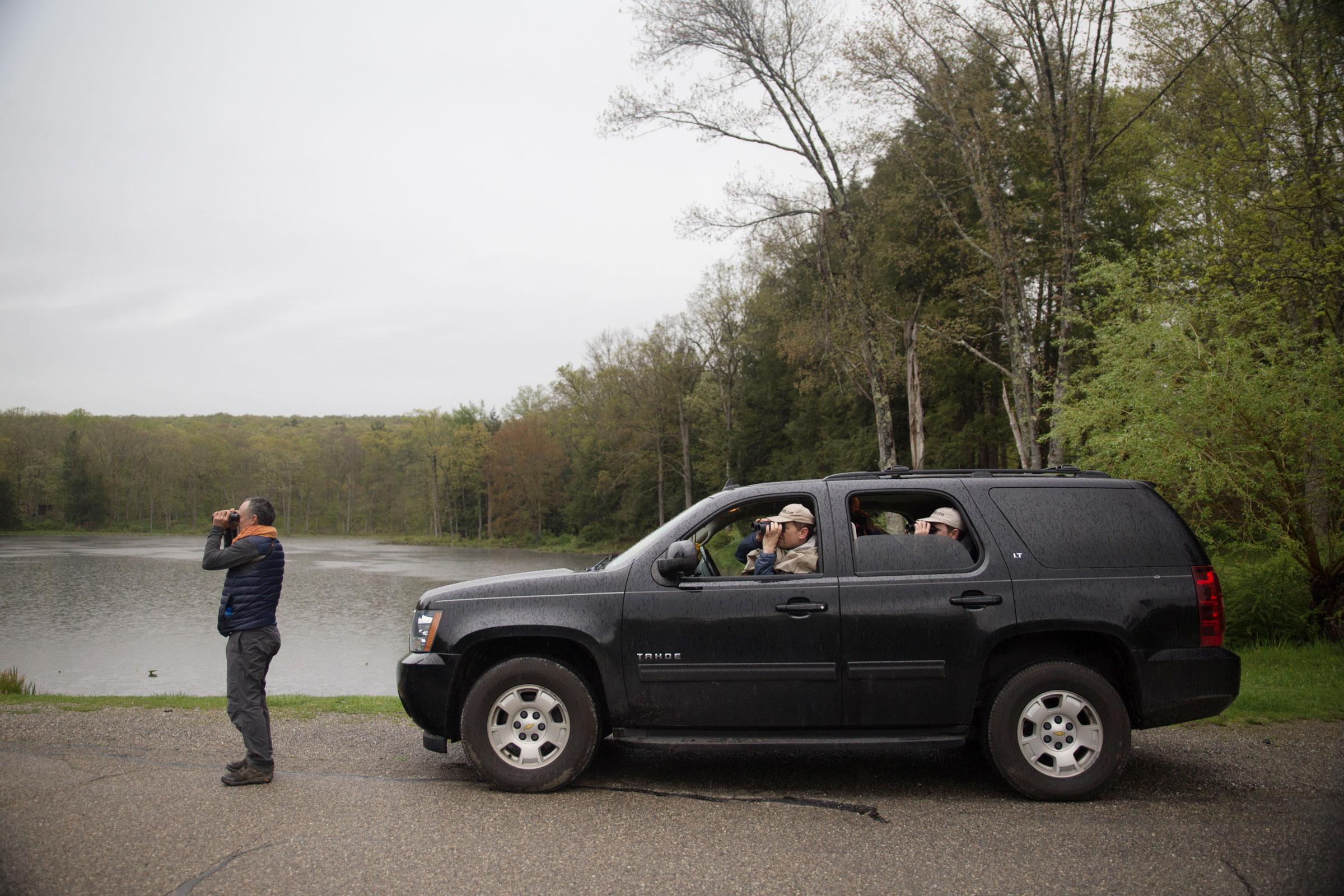 Ken Walsh of 1000birds tries to get a bead on a distant bird. Unless necessary, teams often try to get as many birds from the car as they can to save time. Camilla Cerea/Audubon