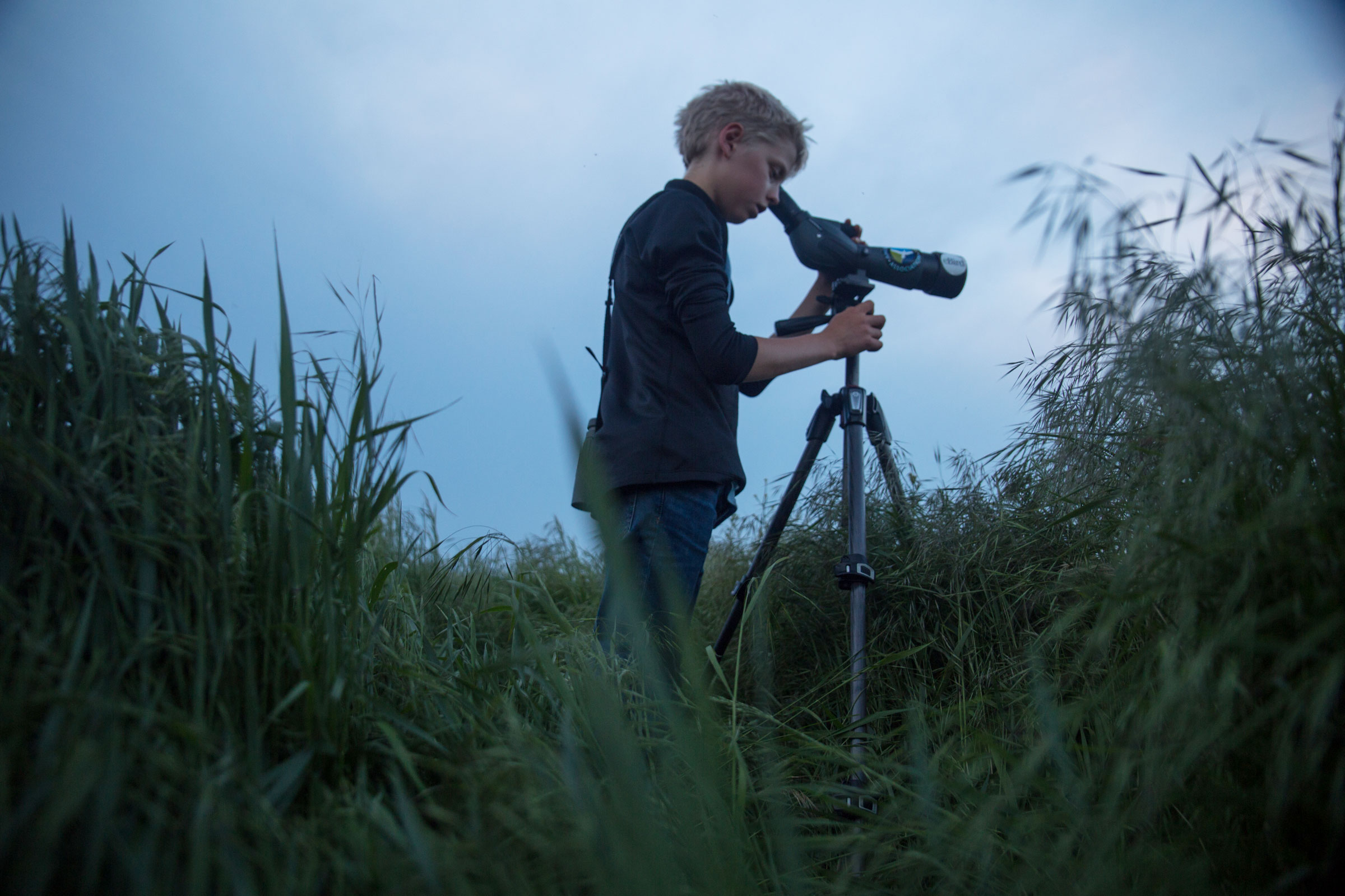 Jonathan Irons looks for an American Woodcock at dusk in Cape May. Camilla Cerea/Audubon