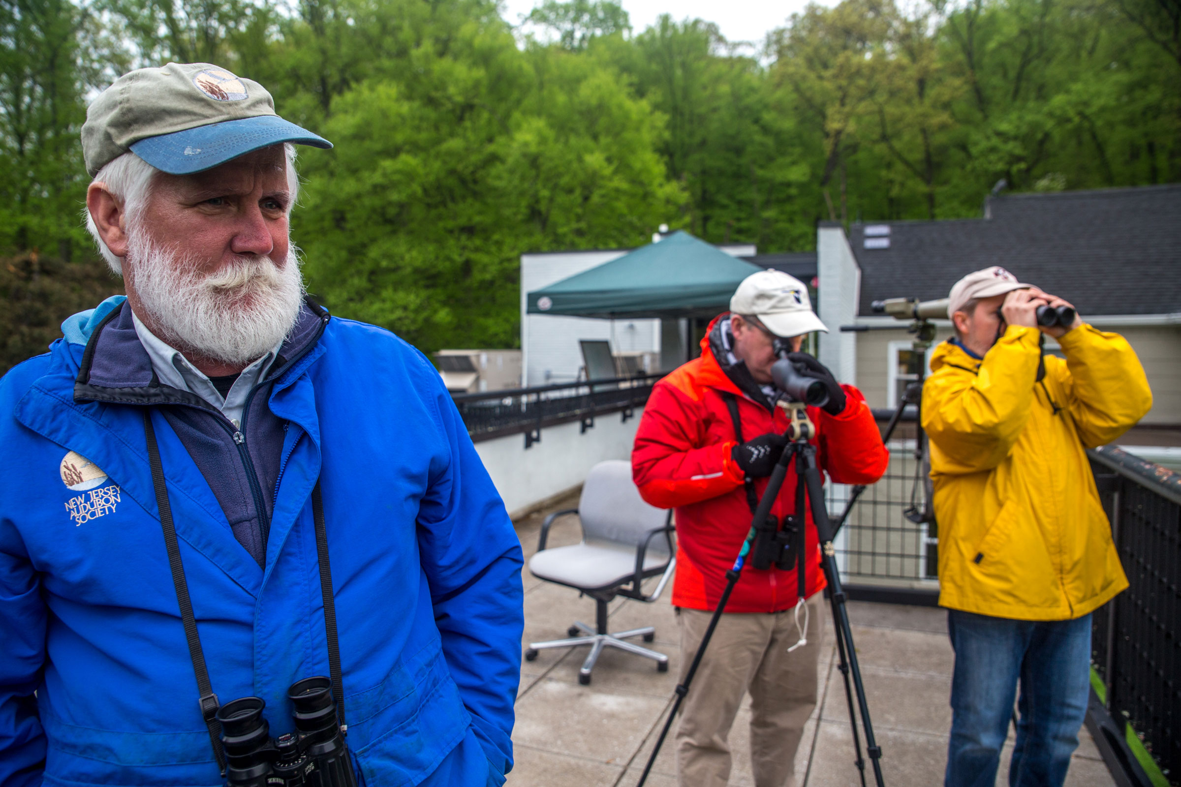 Mike Anderson (left) listens for distant sparrows while Dan and Ron Barkley scope the canopy. Camilla Cerea/Audubon